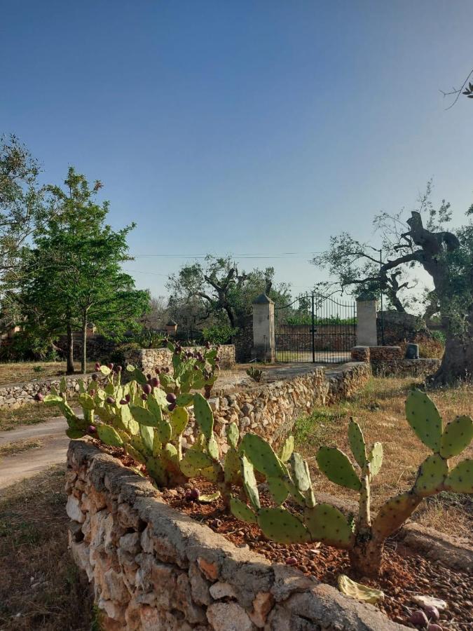 Villa La Petraia à Magliano Extérieur photo