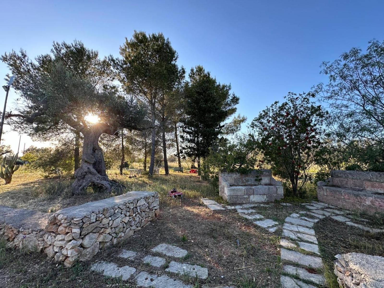 Villa La Petraia à Magliano Extérieur photo