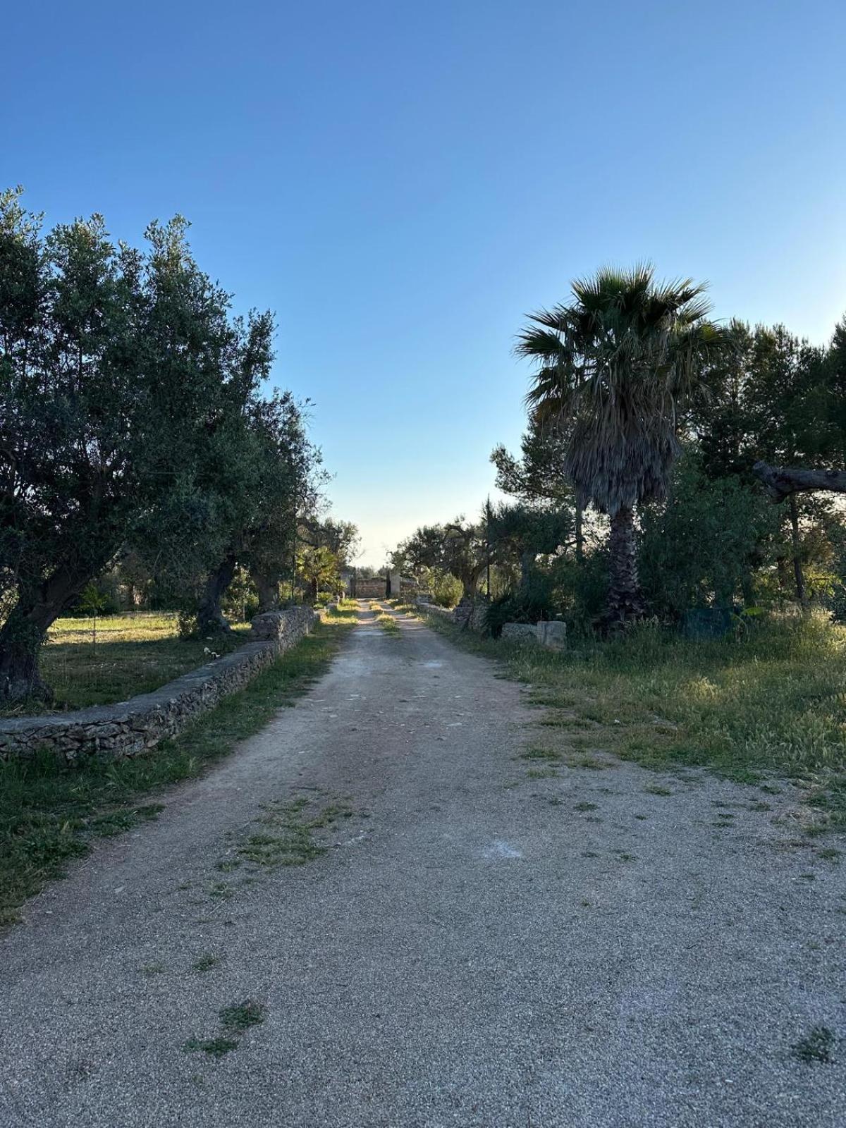 Villa La Petraia à Magliano Extérieur photo